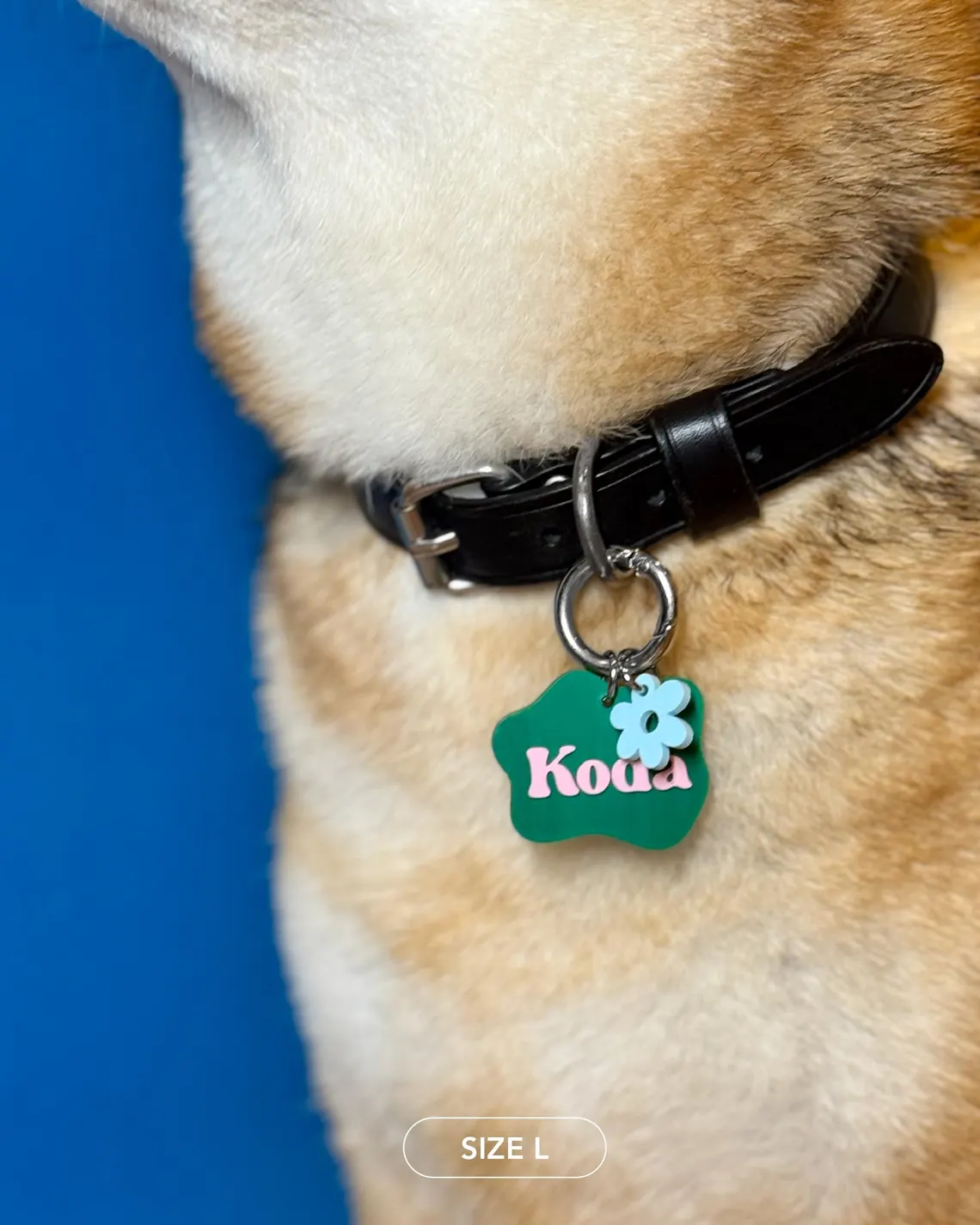 Custom Wavy Pet ID Tag with Name & Charm for Dogs & Cats - Image 4