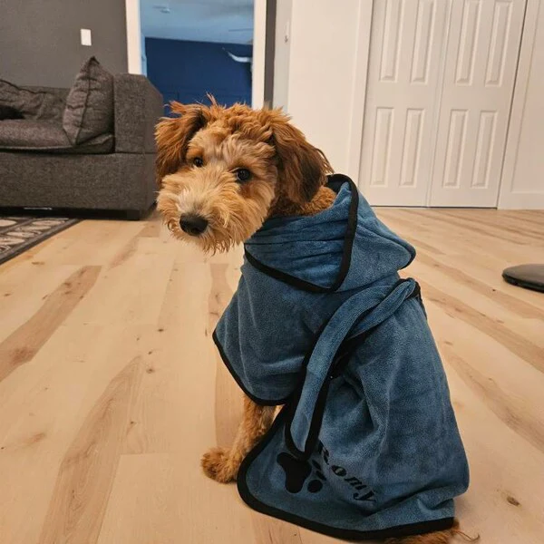 Personalized Dog Robe | Embroidered Pet Bathrobe & Towel Gift - Image 4
