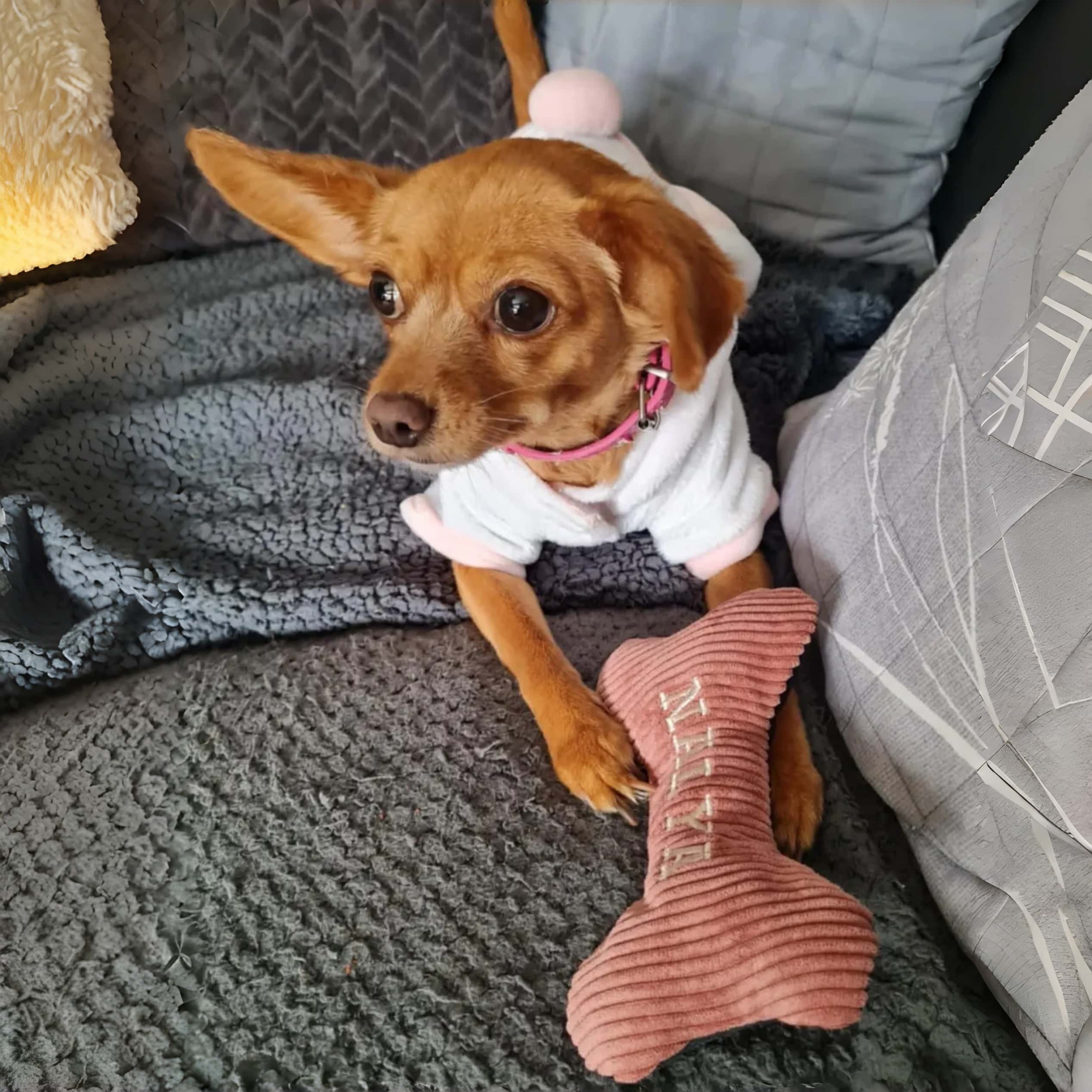 Personalized Dog Toy Bone with Squeaker | Embroidered, Fun & Durable - Image 3
