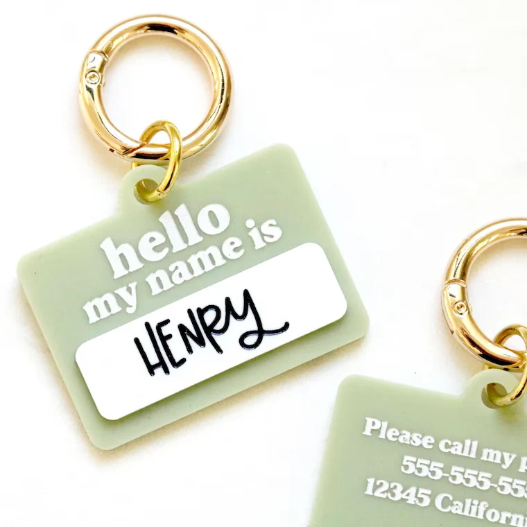 Personalized Pet ID Tag | Custom Dog & Cat Name Collar Tag - Image 4