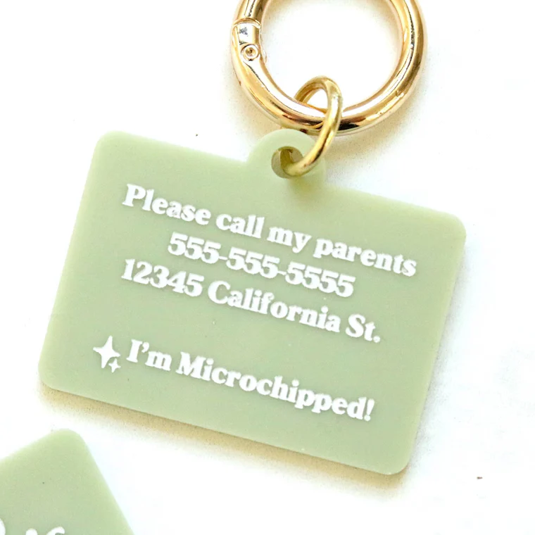 Personalized Pet ID Tag | Custom Dog & Cat Name Collar Tag - Image 5