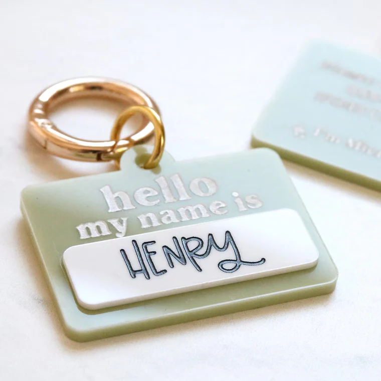 Personalized Pet ID Tag | Custom Dog & Cat Name Collar Tag - Image 6