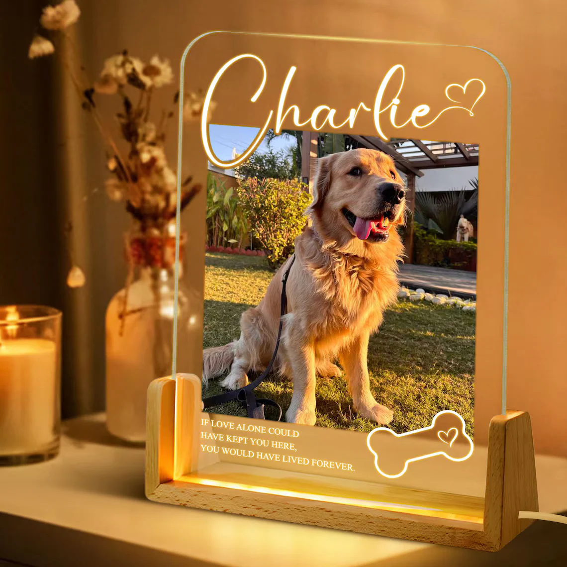 Personalized Pet Memorial LED Night Light – Custom Dog Lover Gift - Image 3