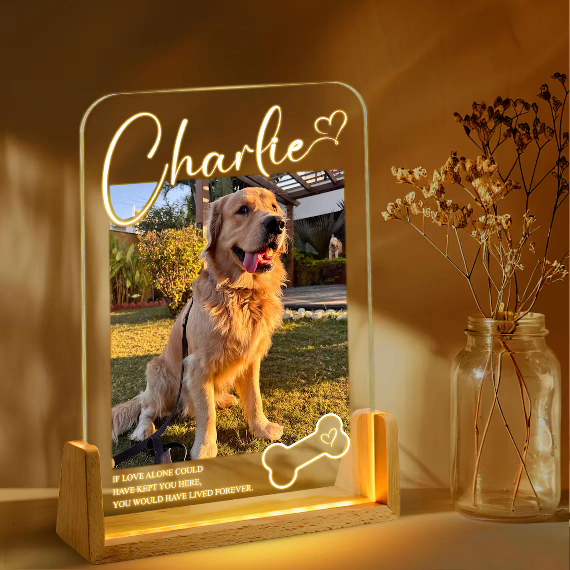 Personalized Pet Memorial LED Night Light – Custom Dog Lover Gift - Image 4